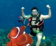 homo-nemo1.jpg