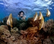 nia-bat-fish1.jpg
