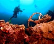 morotai-wreck6.jpg