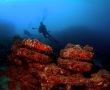 morotai-wreck7.jpg