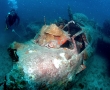 ong-b-24.jpg